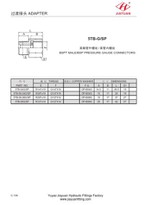 BSPT BSPP konektor manometra